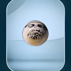 Ball with Harbhajan Singh Autograph