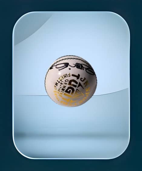 Ball with Harbhajan Singh Autograph