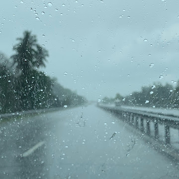 Profile photo of 8JJ_Sam